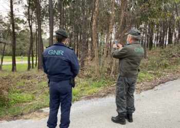 GNR detectou 3.364 situações por falta de limpeza de terrenos no distrito de Leiria