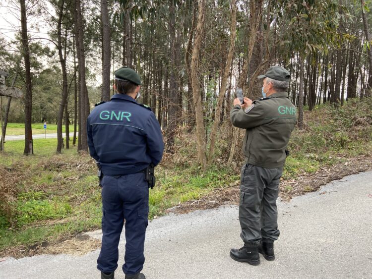 GNR detectou 3.364 situações por falta de limpeza de terrenos no distrito de Leiria