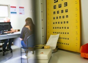 Médico de família: oferta de couves e galinhas para ‘pagar’ disponibilidade infinita