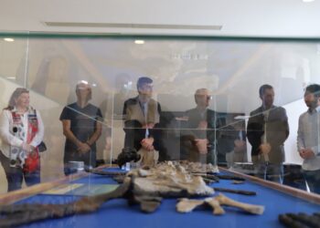 Plesiossauro com 195 milhões de anos em exposição na Marinha Grande