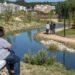 Município de Leiria estuda melhor localização para piscinas ao ar livre, mas prefere na zona Polis