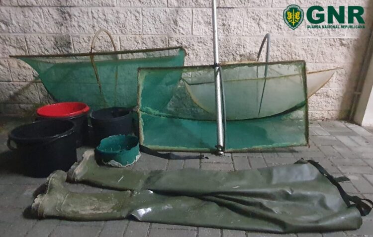 GNR apreende cerca de um quilo de meixão na Marinha Grande