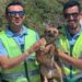 Militares da GNR resgatam cão perdido há cerca de um mês em Caldas da Rainha