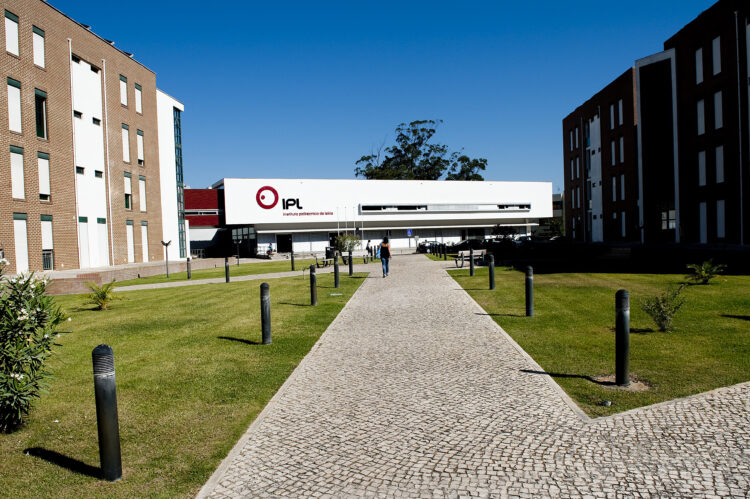 Dois milhões para projectos que promovem ligação entre ensino e empresas