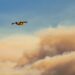 Batalha e Marinha Grande com risco máximo de incêndio