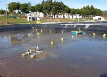 BioSmart desenvolve solução de desidratação de lamas de lagoas