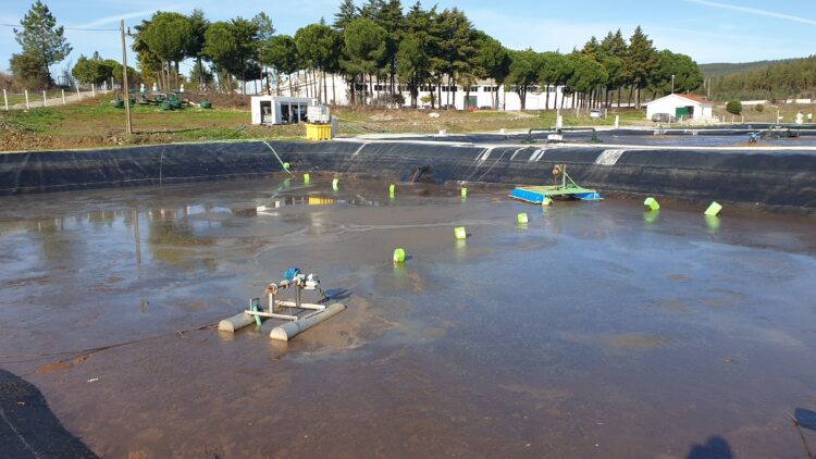 BioSmart desenvolve solução de desidratação de lamas de lagoas