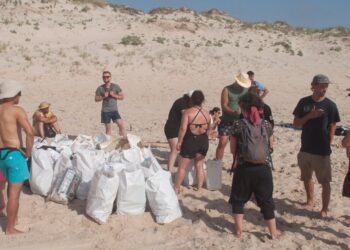 Voluntários recolhem quatro toneladas de lixo de praias e pinhal