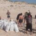 Voluntários recolhem quatro toneladas de lixo de praias e pinhal