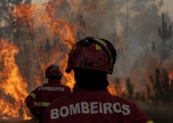 Distrito de Leiria com perigo muito elevado de incêndio
