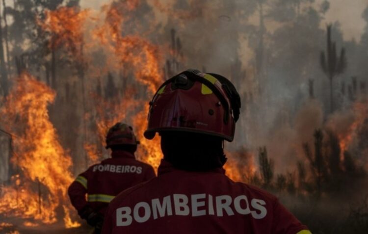 Distrito de Leiria com perigo muito elevado de incêndio