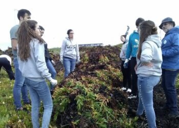 Combate às espécies invasoras, uma guerra que está apenas no início