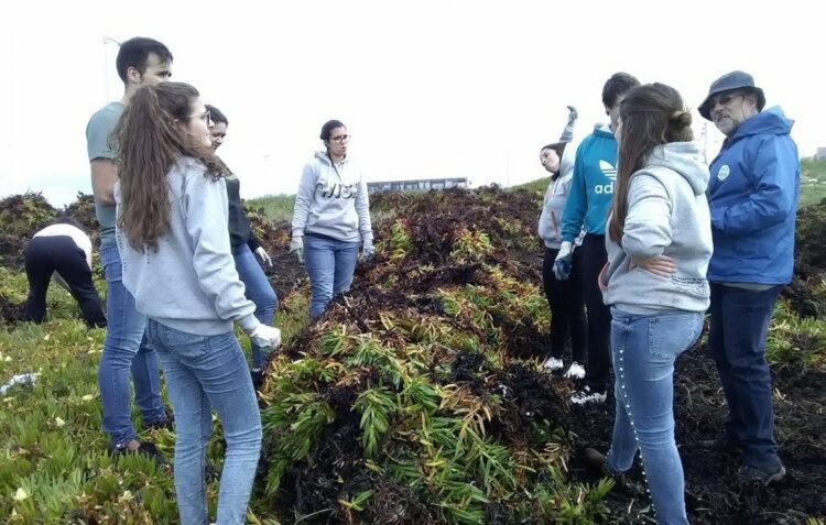 Combate às espécies invasoras, uma guerra que está apenas no início