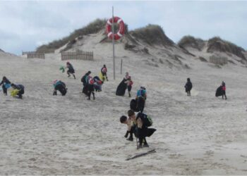 Escuteiros e utentes da Cercipom limpam Praia do Osso da Baleia