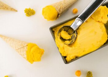 Toneladas de microalgas produzidas em Pataias usadas em alimentação e cosmética