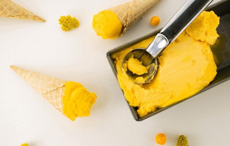 Toneladas de microalgas produzidas em Pataias usadas em alimentação e cosmética