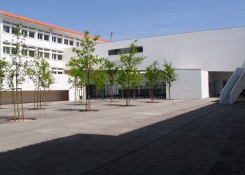 ‘Sombras’ por um dia para escolher futuro