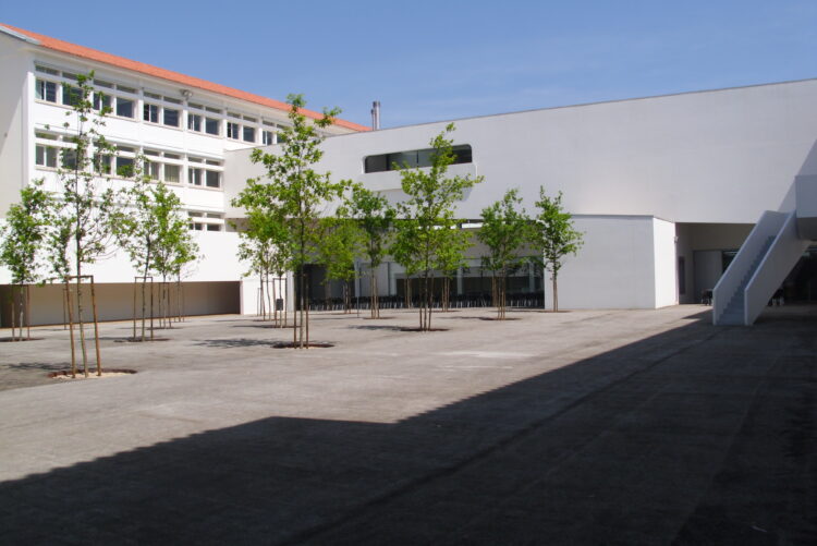 ‘Sombras’ por um dia para escolher futuro