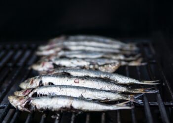 Animação de Verão na Praia da Vieira arranca com 500 quilos de sardinha para assar
