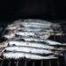 Animação de Verão na Praia da Vieira arranca com 500 quilos de sardinha para assar
