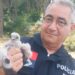 Falcão peregrino resgatado pela PSP no Castelo de Leiria