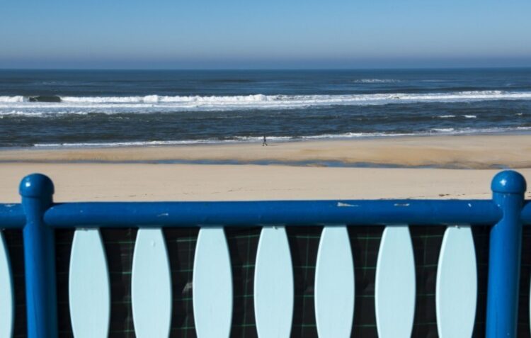 Cientistas reúnem-se na Praia da Vieira para debater oceanos