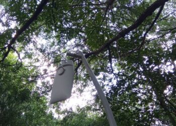 Candeeiros e árvores alvo de vandalismo no Polis de Leiria