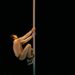 Ourém recebe circo contemporâneo de Portugal, Espanha e França