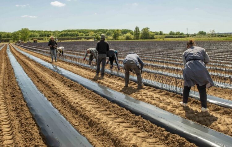Agricultores de Leiria temem racionamento de água devido à seca