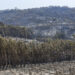 Incêndios: Câmara de Pombal pede medidas de apoio “ágeis e pouco burocráticas” para vítimas
