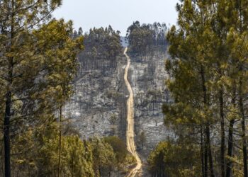 “Só tivemos tempo de fugir e deixar tudo para trás”