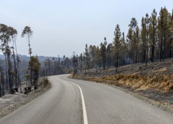 Fogo destrói dezenas de alfaias agrícolas e provoca estragos em seis habitações em Alvaiázere