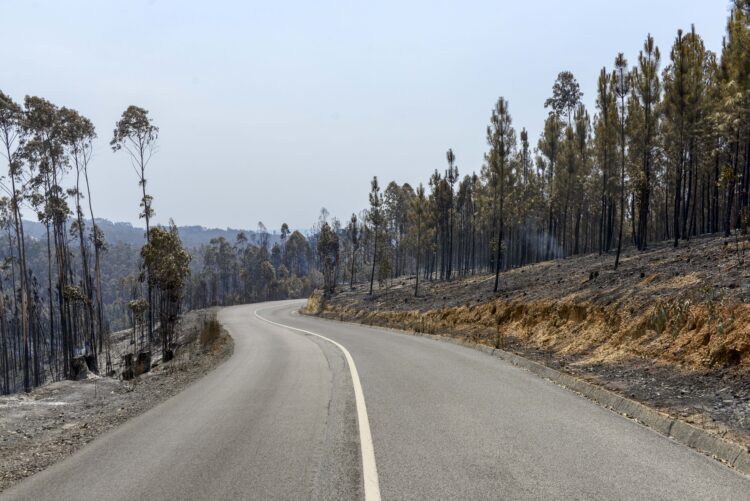 Fogo destrói dezenas de alfaias agrícolas e provoca estragos em seis habitações em Alvaiázere