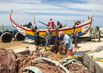 Estado cede terreno e espaços na Praia da Vieira para o Centro Interpretativo da Arte Xávega