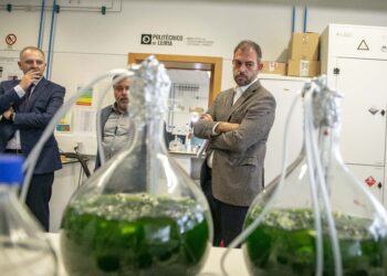 Resíduos industriais e de pecuárias são impulso para energia verde