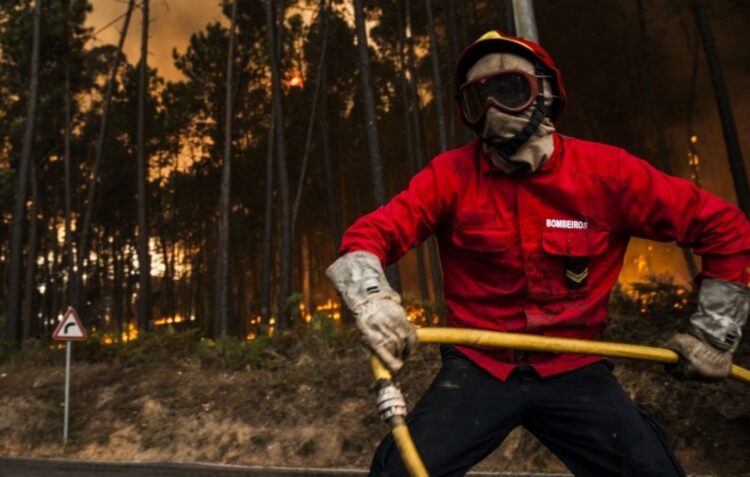 Dois incêndios mobilizam 411 bombeiros e 9 meios aéreos em Ourém e Pombal
