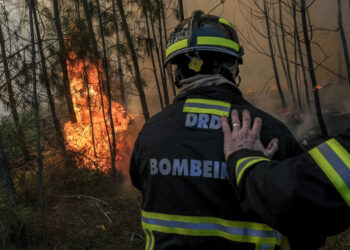 Bombeiro ferido no incêndio de Alvaiázere
