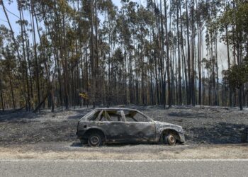 Declare os prejuízos com incêndios e candidate-se à reposição de equipamentos e infra-estruturas