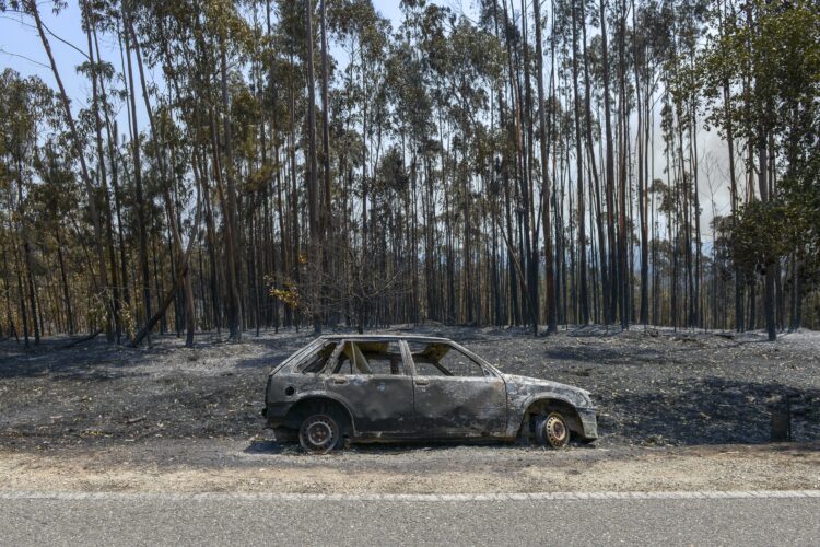 Declare os prejuízos com incêndios e candidate-se à reposição de equipamentos e infra-estruturas