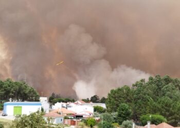 Fogo na Boa Vista corta IC2 e obriga à evacuação de aldeias