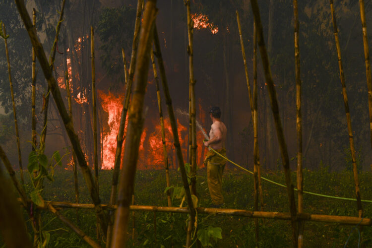 Incêndios: Ansião pede mais meios para “evitar catástrofe”