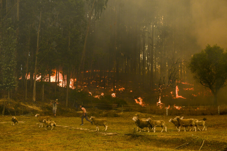 Imagens de uma tarde de inferno às portas de Leiria