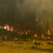 Imagens de uma tarde de inferno às portas de Leiria