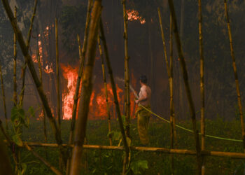 Incêndios: Duas aldeias evacuadas em Ansião