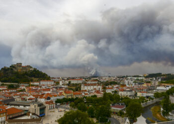 Incêndios causaram prejuízos de 8,7 milhões no concelho de Leiria