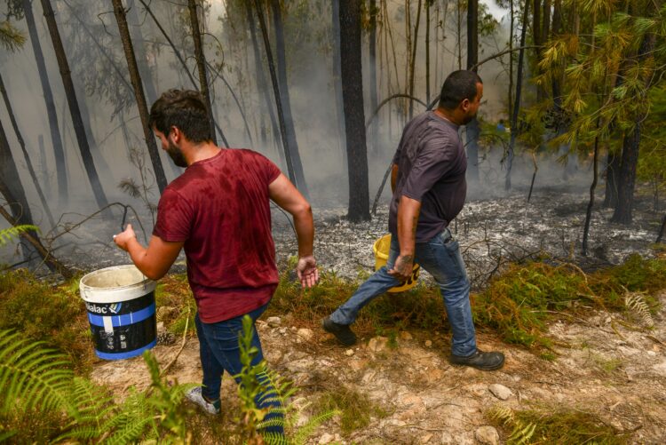 Fogos de Ansião e Alvaiázere cortam IC8