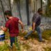 Fogos de Ansião e Alvaiázere cortam IC8