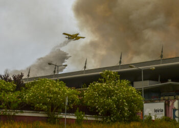 Incêndios: Pombal alerta para “reacendimentos” e “agravamento” da situação