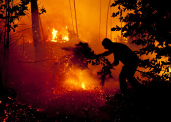 Detido presumível incendiário de dois focos de incêndio em Ourém