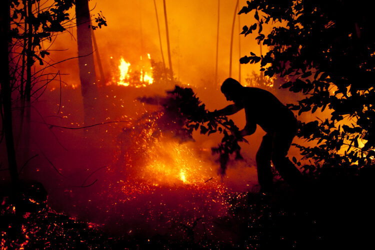 Detido presumível incendiário de dois focos de incêndio em Ourém